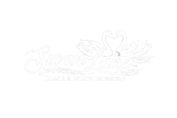 Swan Lake Vision